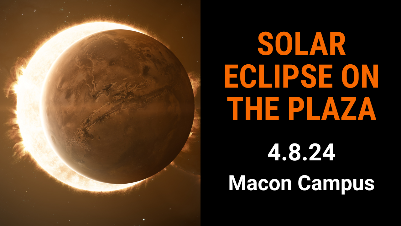 Solar_Eclipse_Plaza_24